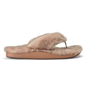 Olukai Kīpe'a Heu Womens Slippers Brown Canada | P8T-8801