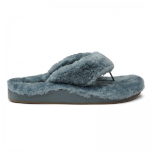 Olukai Kīpe'a Heu Womens Slippers Grey Blue Canada | S4X-2443