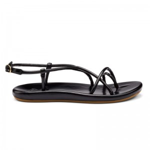 Olukai Waiau Womens Sandals Black Canada | I0L-9609