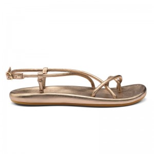 Olukai Waiau Womens Sandals Gold Canada | L6E-0669