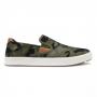 Olive / Camo